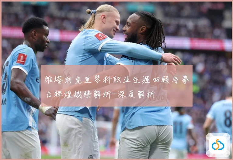 维塔利克里琴科职业生涯回顾与拳击辉煌战绩解析-深度解析