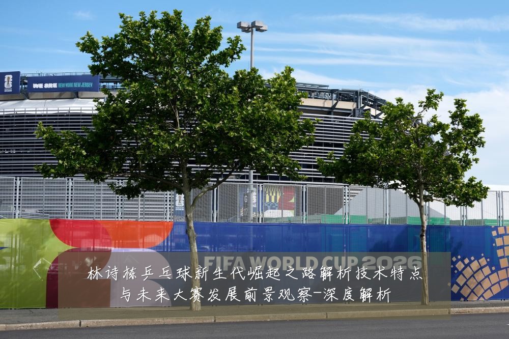 林诗栋乒乓球新生代崛起之路解析技术特点与未来大赛发展前景观察-深度解析